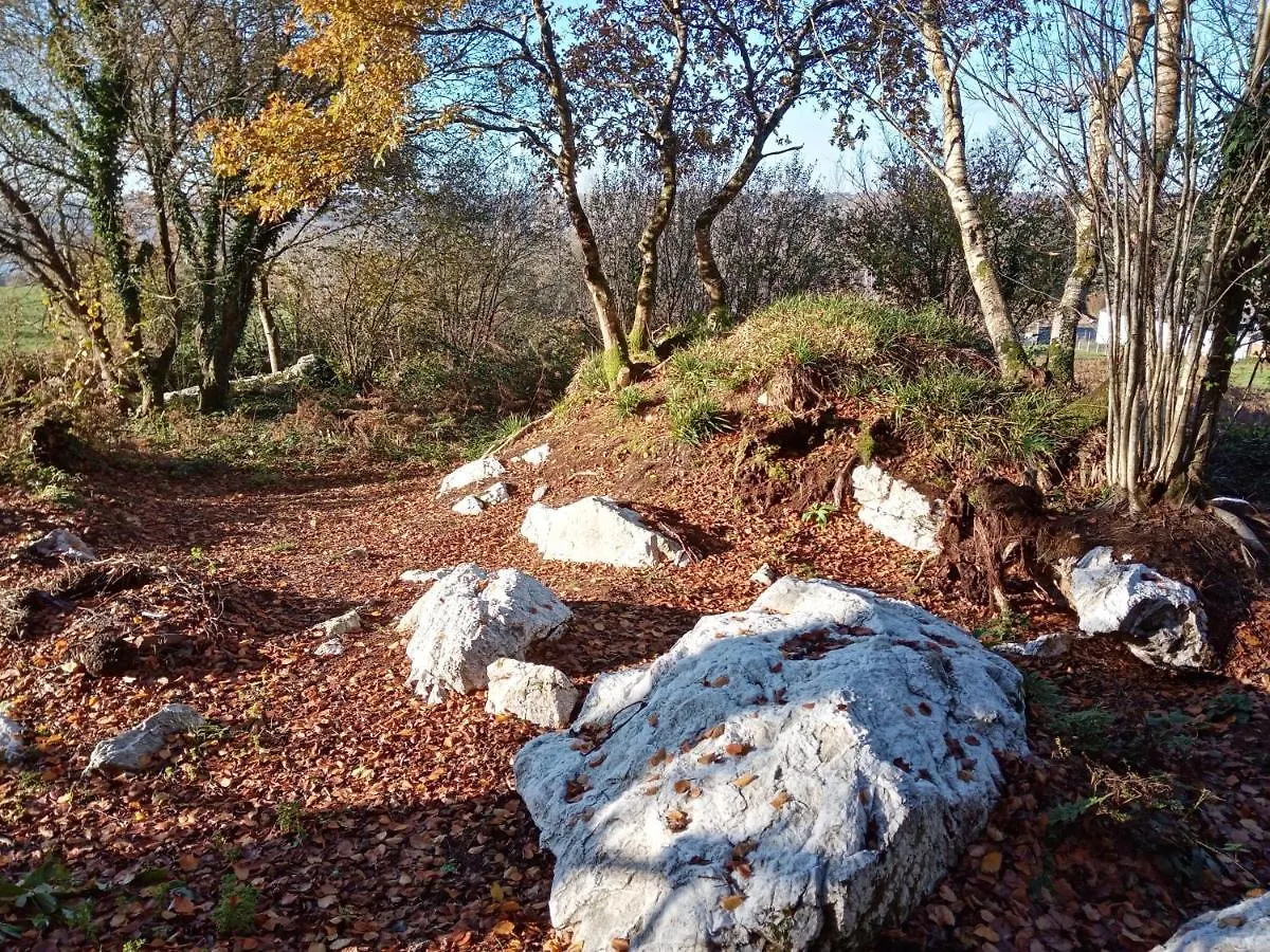 Le Rocher Du Samoyede Dirinon 0*,  Frankrijk
