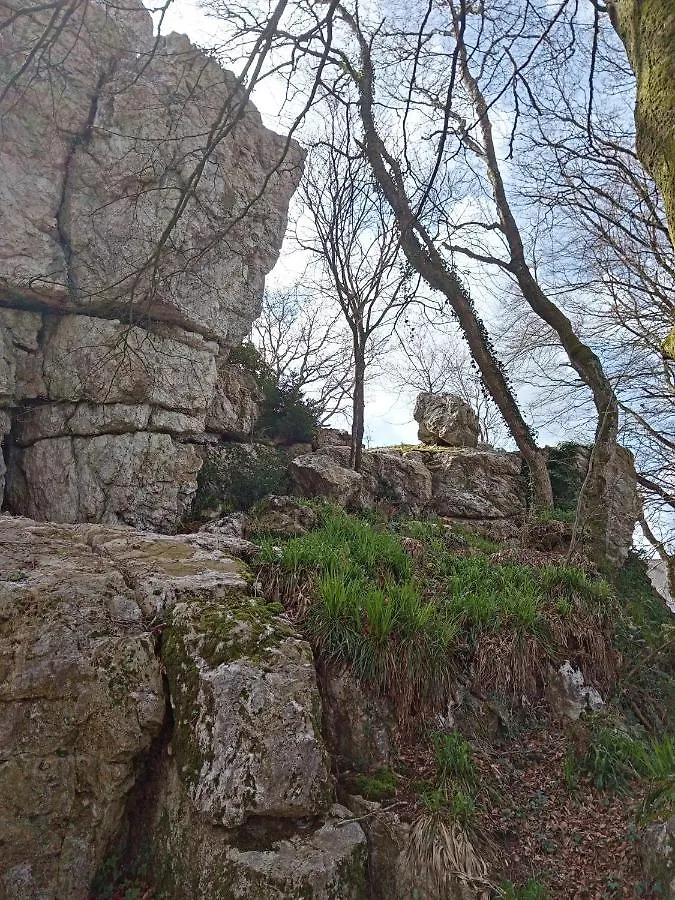 Le Rocher Du Samoyede Dirinon