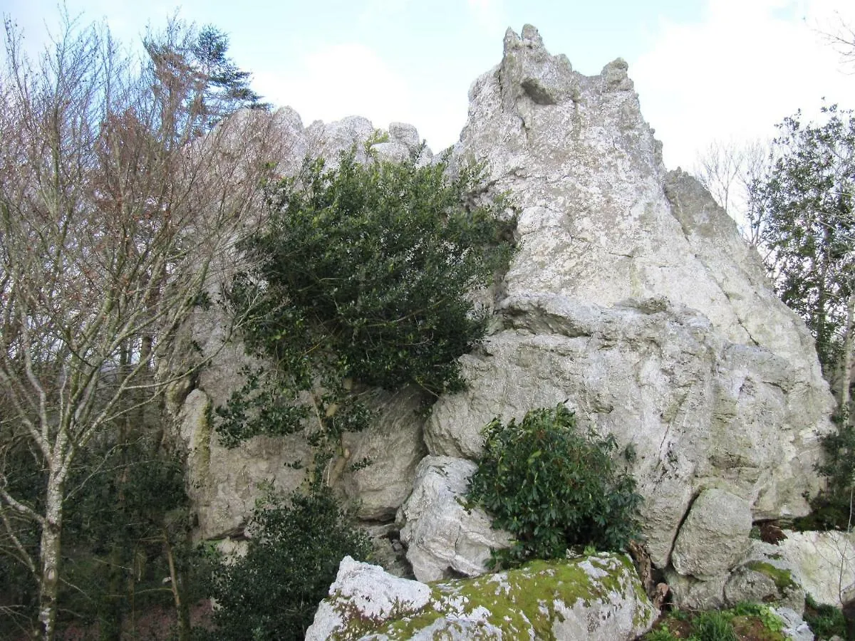 Gasthuis Le Rocher Du Samoyede Dirinon Frankrijk
