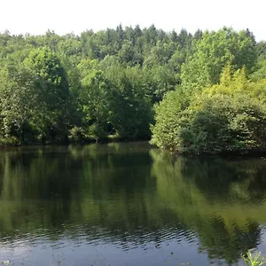 https://domaine-du-moulin.midi-pyreneeshotels.com